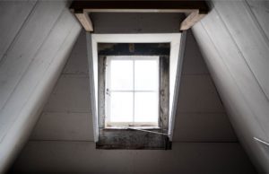 attic with mold damage